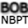 Best of British NBPT Icon