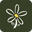 The Daisy Refillery Icon