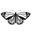 Ecological Market Icon