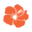 International Market Place Icon