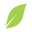 Natural Cafe Market Icon
