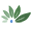 Organic Infusions Icon