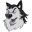 The WolfGang Icon