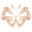 Chrysella Icon