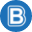 Bestway USA Icon
