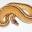 Tails & Scales Icon