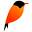 Sibia Proofreading Icon