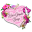 Kisschanel Icon