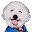 Small Paws Rescue Icon