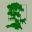 Woodland West Pet Resort Icon