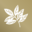 Forest Ridge Icon