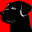 Blackdog Builders Icon