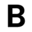 Ballot Icon
