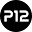 P12 Icon