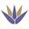 Elyssium Advanced Skin Care Icon