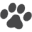Ibiyaya Icon