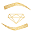 The Lash CEO Icon