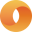 Merit Circle Icon