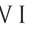 Kiwi and Fig Icon