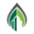 Green Building Group Icon