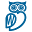 StreamWise Solutions Icon