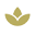 Glow Aesthetic Medicinde Icon