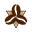 Synoptic Coffee Icon