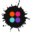 House Of Color Icon