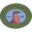 Pigeon Mountain Trading Icon