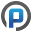 Playwire Icon