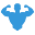 Iron Life USA Icon