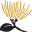 Noʻeau Designers Icon
