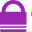 TrackSSL Icon