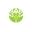 Oleander Aesthetics Icon