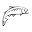 Sunburst Trout Icon