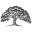 Live Oak Contracting Icon