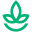 Plantwise Icon
