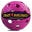 Crazy4pickleball.com Icon