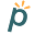 Pletinum Icon
