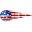 Pickleball Depot .US Icon