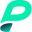 PAGE Network Icon