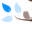 Luster Skin + Body Icon