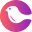 Courier Icon