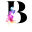 Beautifuller Icon