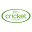 Cricket Flour Icon