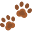 Designs On Dogs Icon