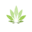 DOCTICBD Icon