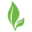 Green Home Coach Icon
