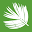 Hilton Head Accommodations Icon