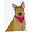 Khloeko Icon